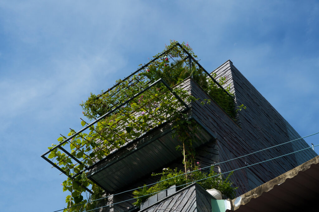 Phủ xanh không gian sống cho căn nhà phố Sài Gòn - Ảnh 2